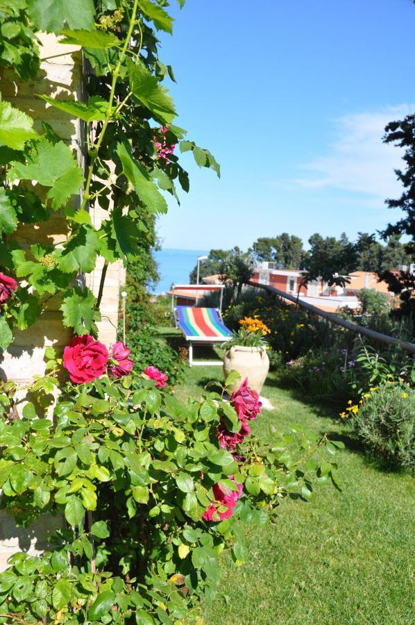 Bed And Breakfast Latteletto 토르토레토 외부 사진